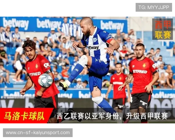 杨梓豪加盟云南玉昆,提升升班马左边路防守强度 杨梓豪加盟云南玉昆,提升升班马左边路防守强度