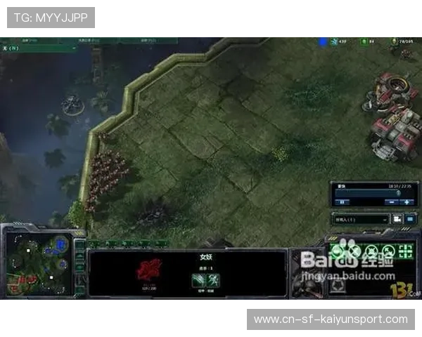 职业比赛中视野控制战术体系